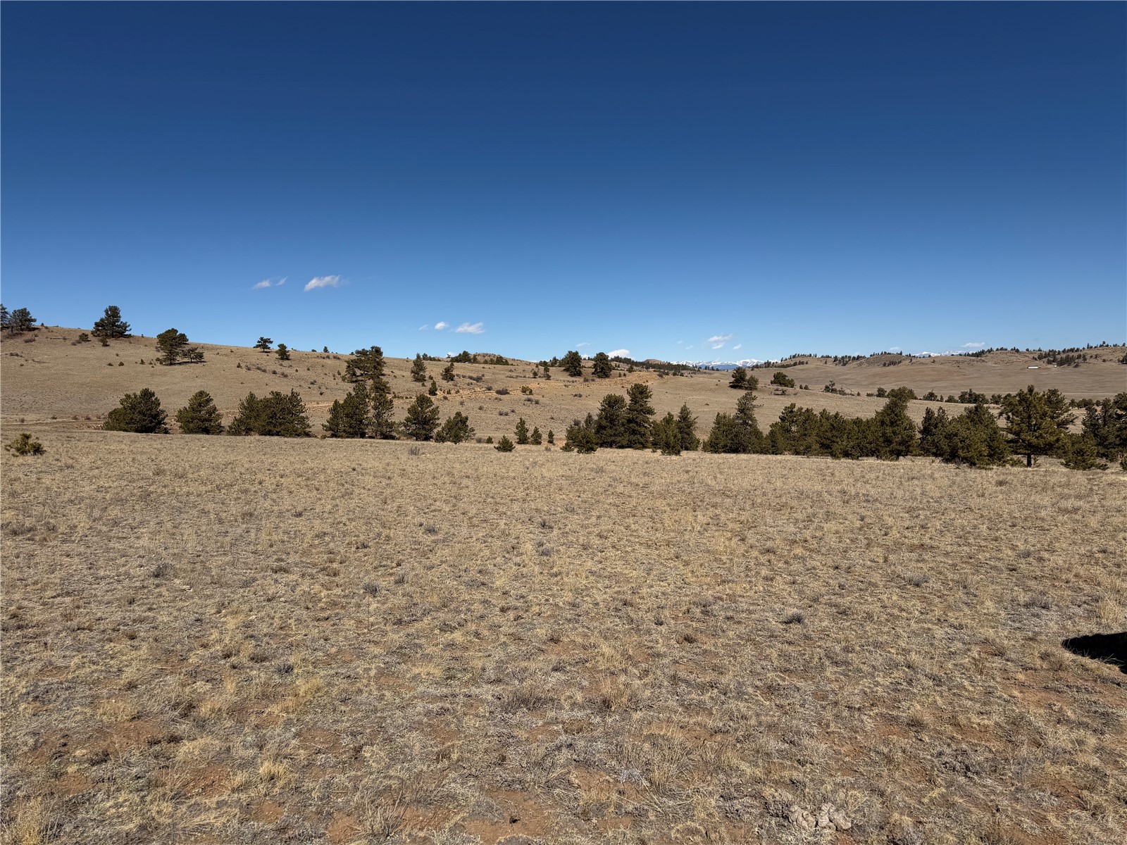 367 Arikara Trail Hartsel CO 80449