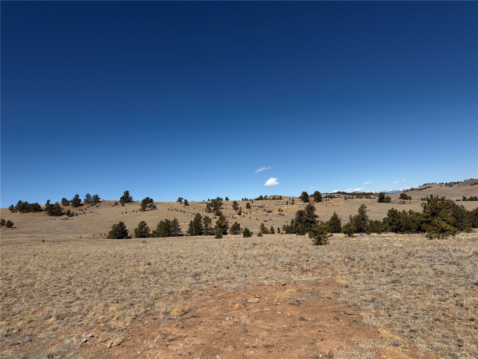367 Arikara Trail Hartsel CO 80449