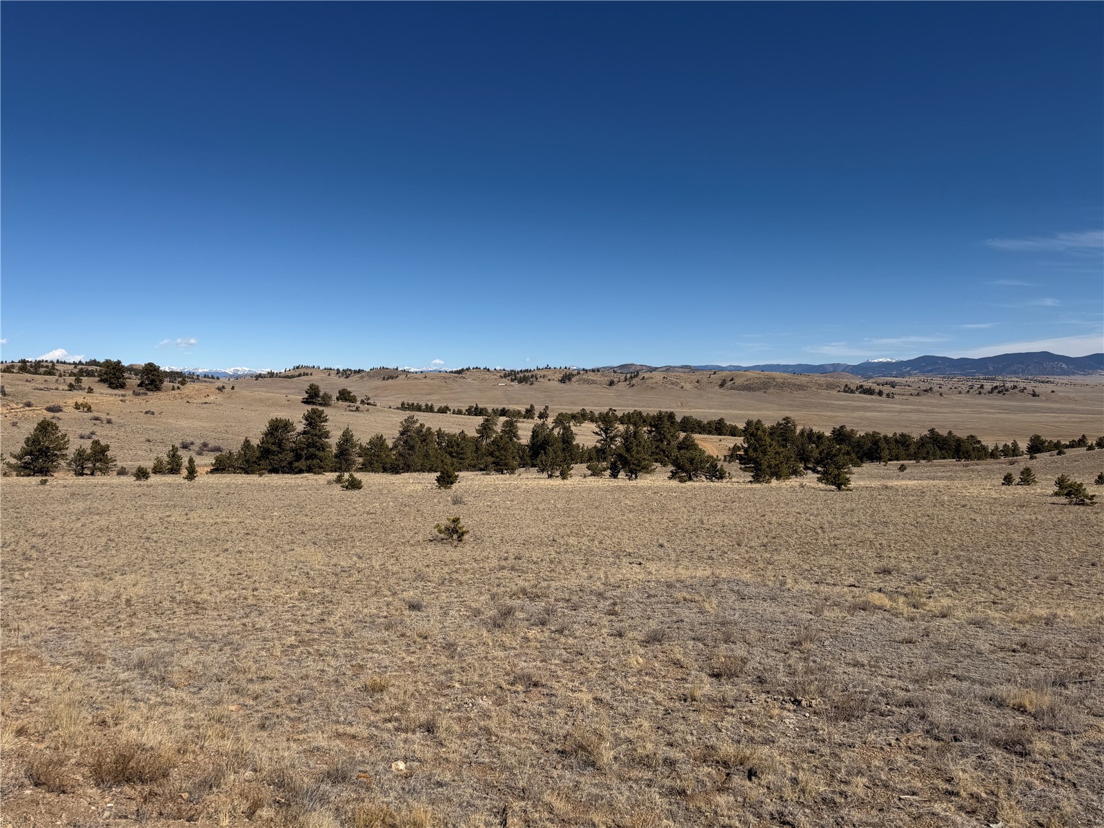 367 Arikara Trail Hartsel CO 80449