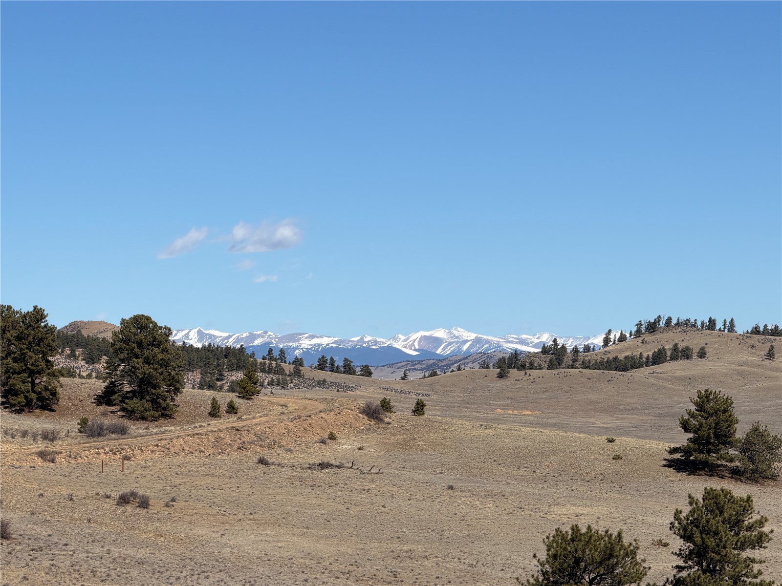 367 Arikara Trail Hartsel CO 80449