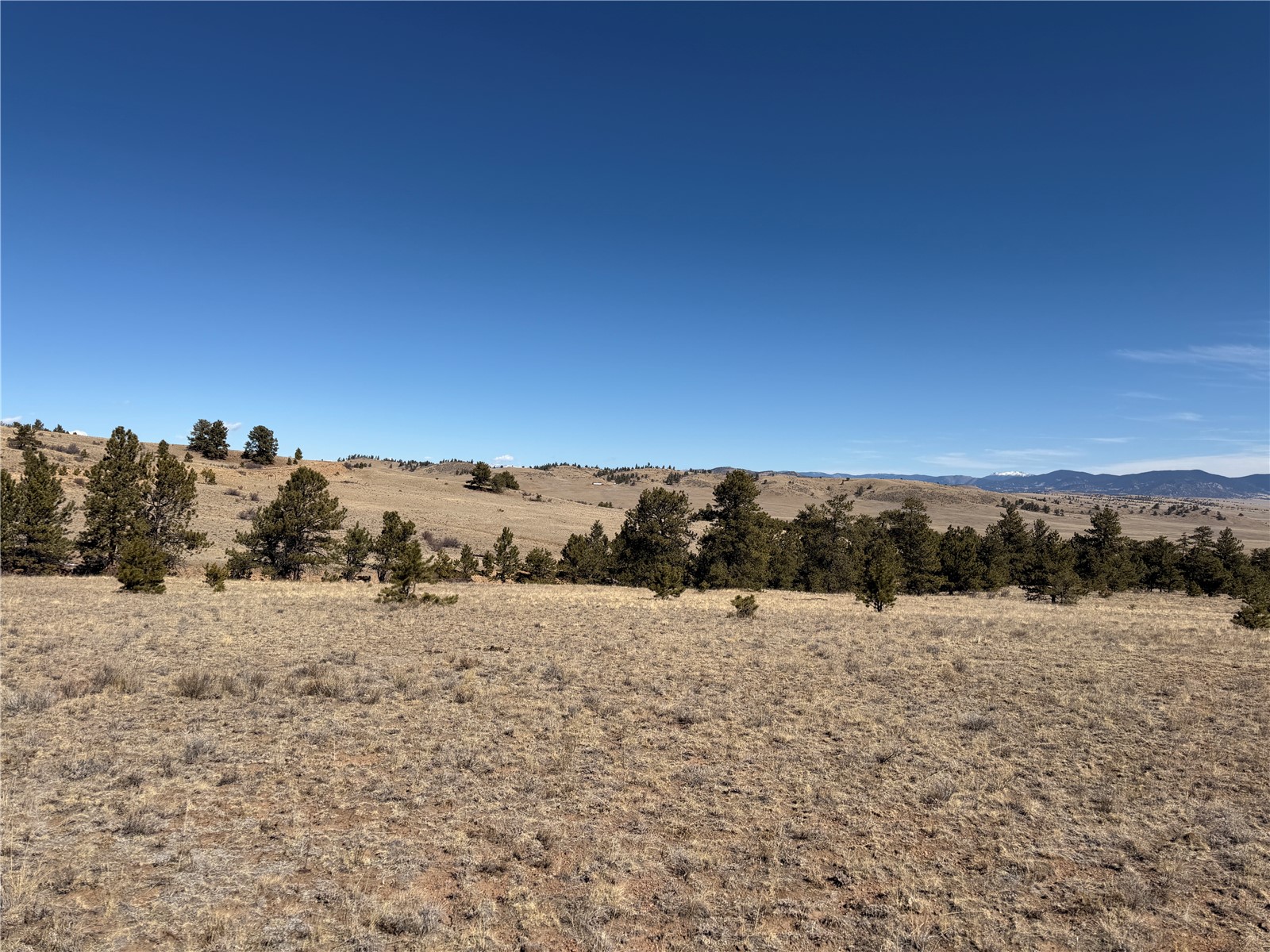 367 Arikara Trail Hartsel CO 80449