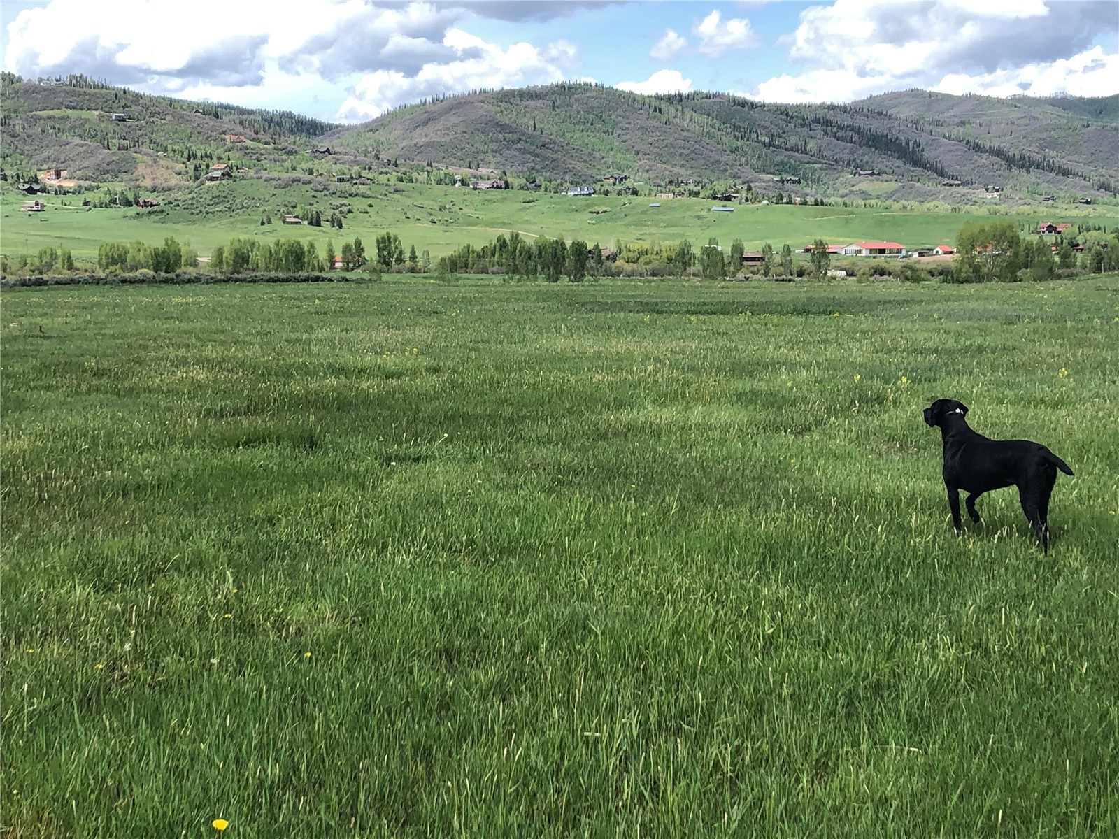 000000 Highway 131 Steamboat Springs CO 80487