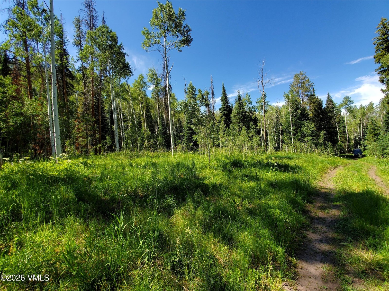 20381 King Bolt Trail Oak Creek CO 80467