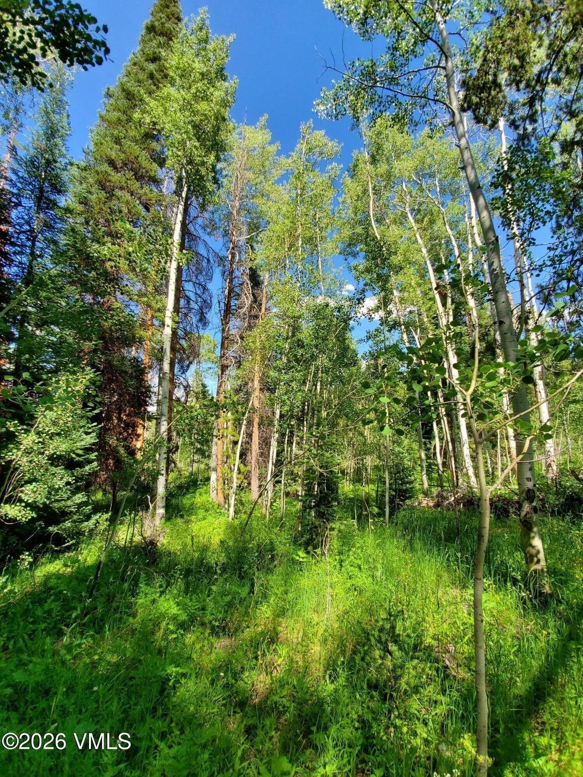 20381 King Bolt Trail Oak Creek CO 80467