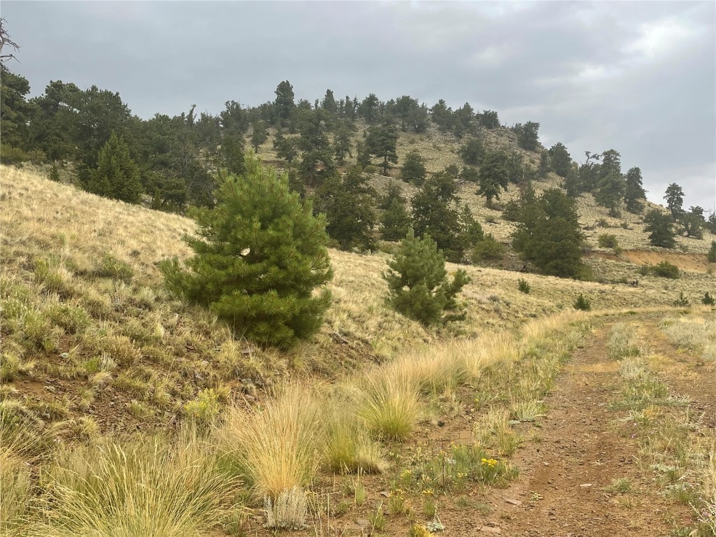 901 Elkhorn View Drive Como CO 80432