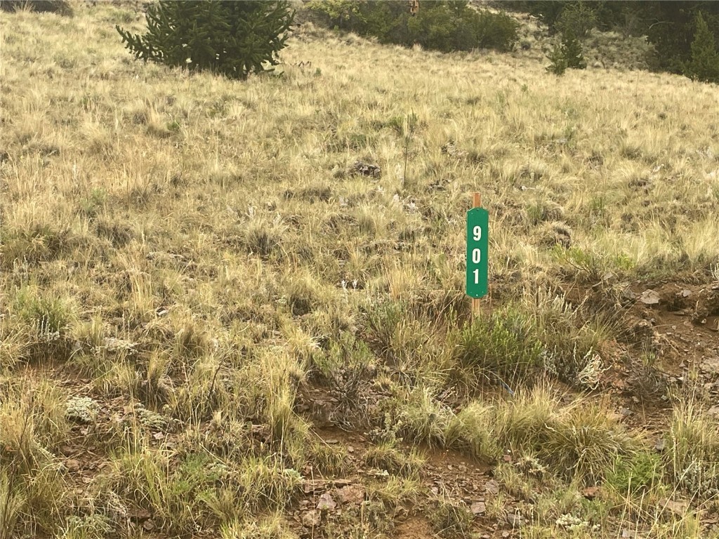 901 Elkhorn View Drive Como CO 80432