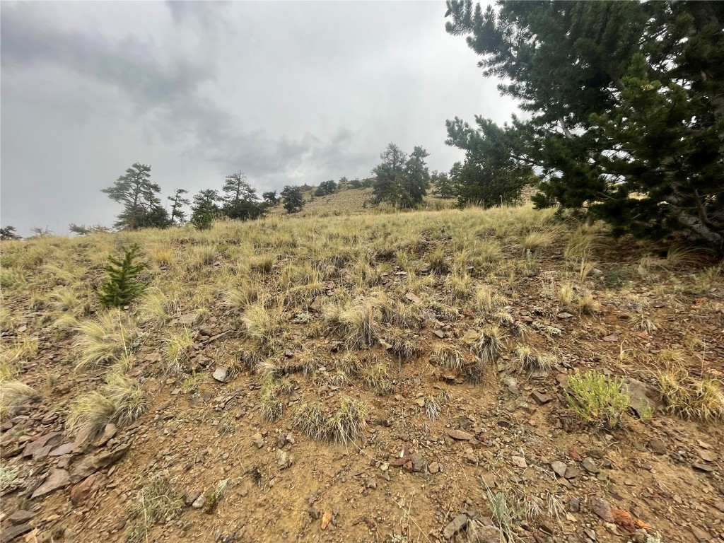 901 Elkhorn View Drive Como CO 80432