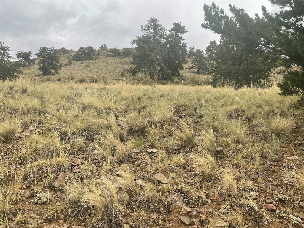 901 Elkhorn View Drive Como CO 80432