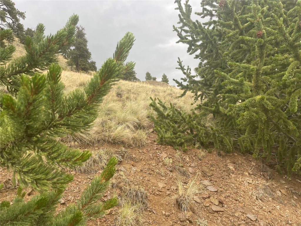 901 Elkhorn View Drive Como CO 80432