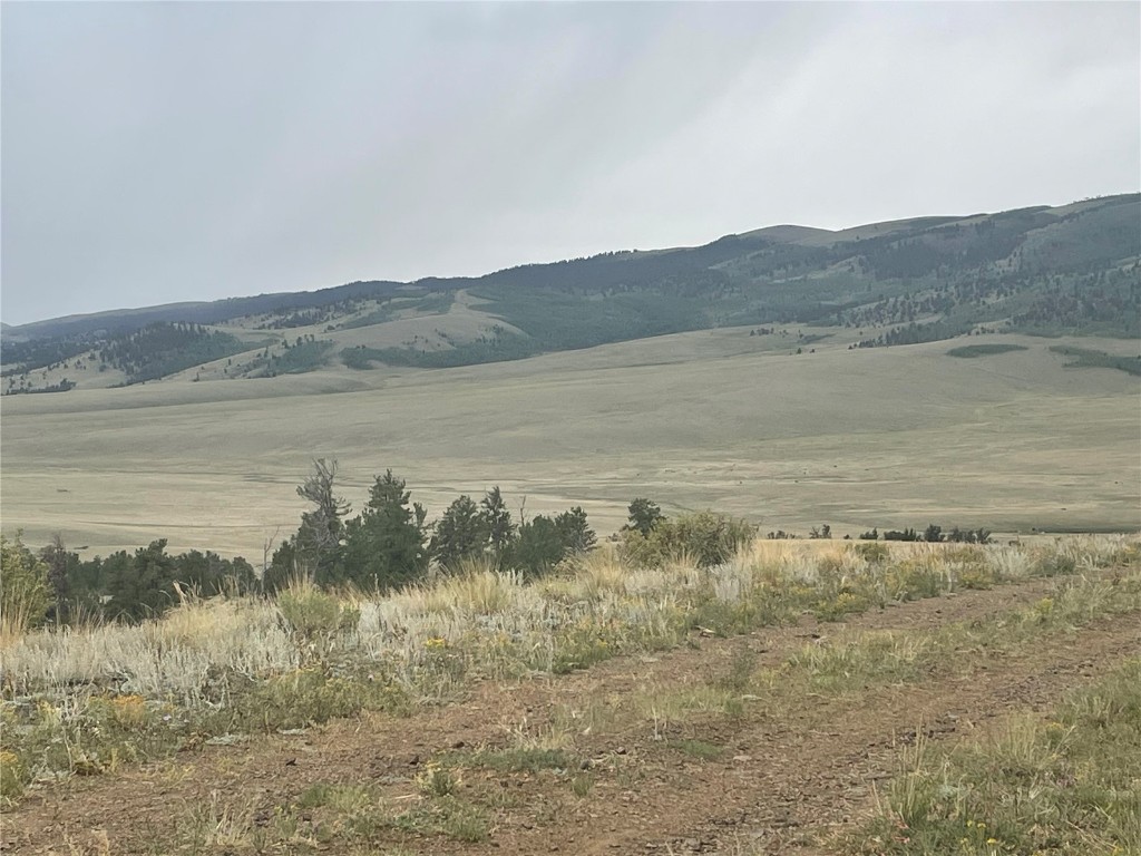 901 Elkhorn View Drive Como CO 80432