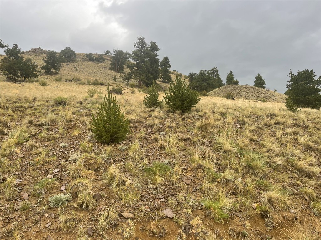 901 Elkhorn View Drive Como CO 80432