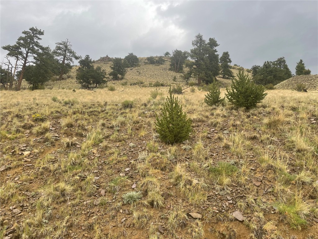 901 Elkhorn View Drive Como CO 80432