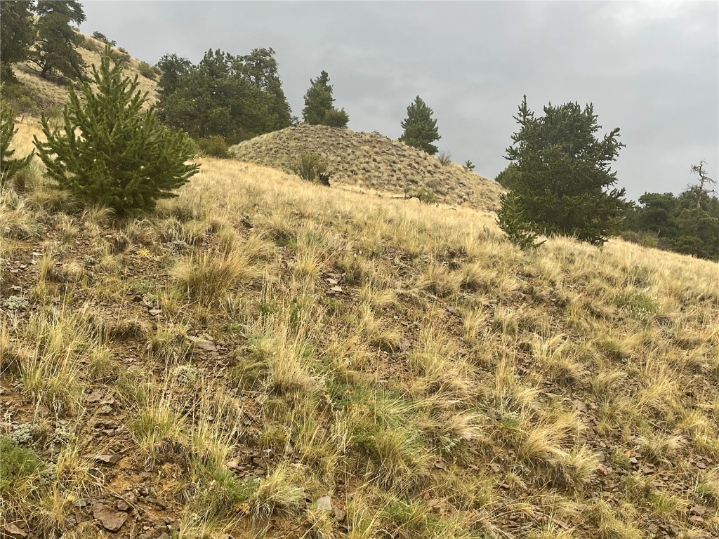 901 Elkhorn View Drive Como CO 80432