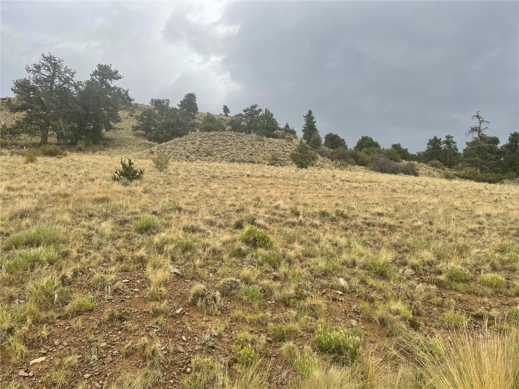 901 Elkhorn View Drive Como CO 80432