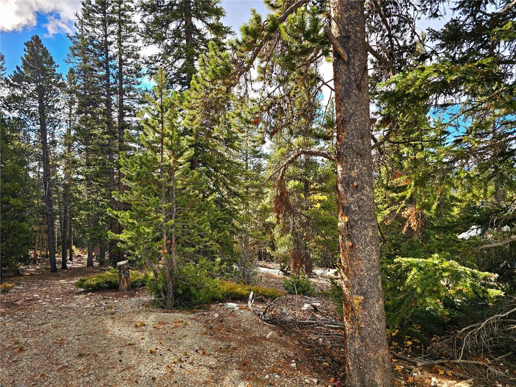 102 Gold Trail Fairplay CO 80440