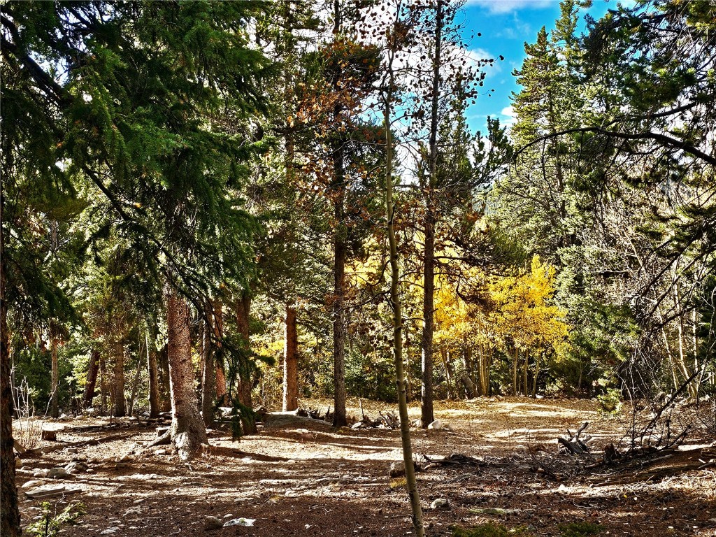 102 Gold Trail Fairplay CO 80440