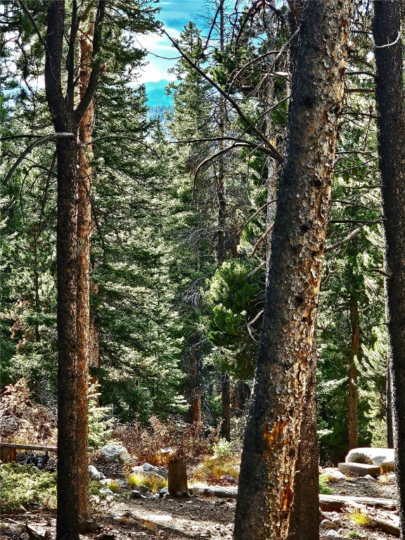 102 Gold Trail Fairplay CO 80440