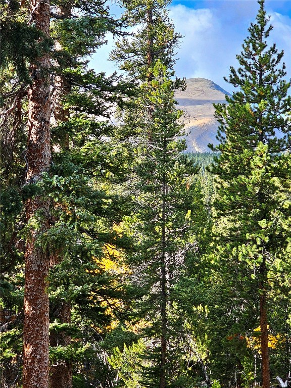 102 Gold Trail Fairplay CO 80440