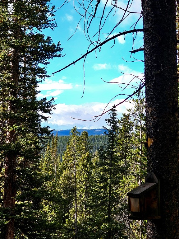 102 Gold Trail Fairplay CO 80440