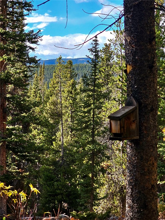 102 Gold Trail Fairplay CO 80440