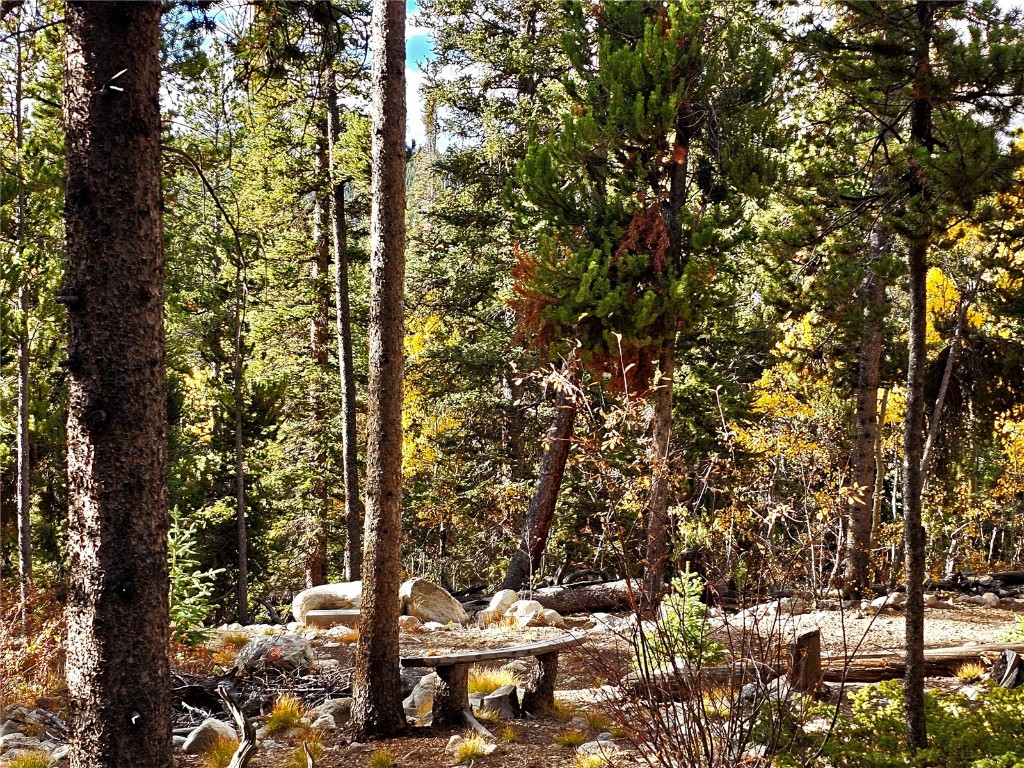 102 Gold Trail Fairplay CO 80440