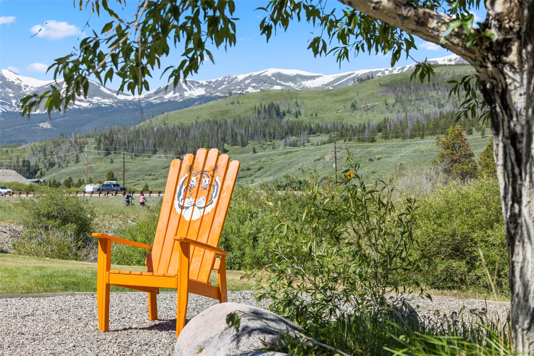 85 Revett Drive #271 Breckenridge CO 80424