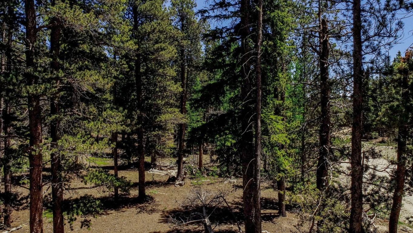 4100 Co Road 1 Fairplay CO 80440