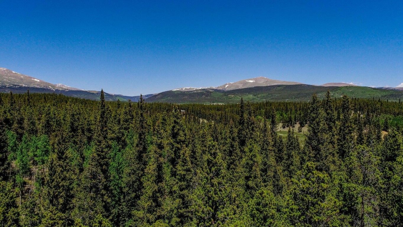 4100 Co Road 1 Fairplay CO 80440