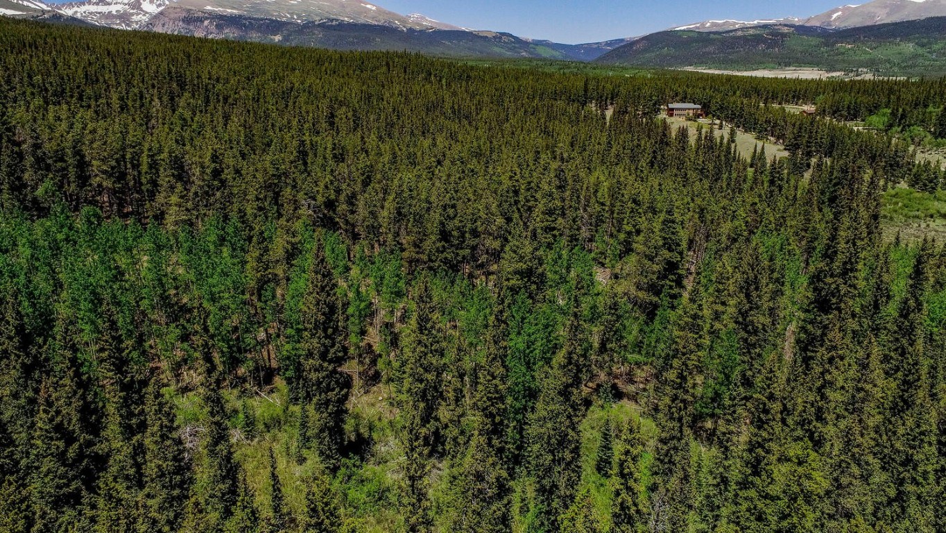 4100 Co Road 1 Fairplay CO 80440