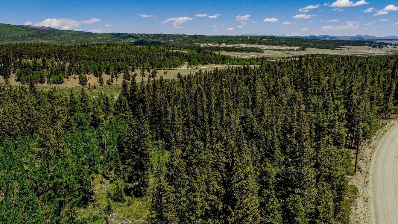 4100 Co Road 1 Fairplay CO 80440