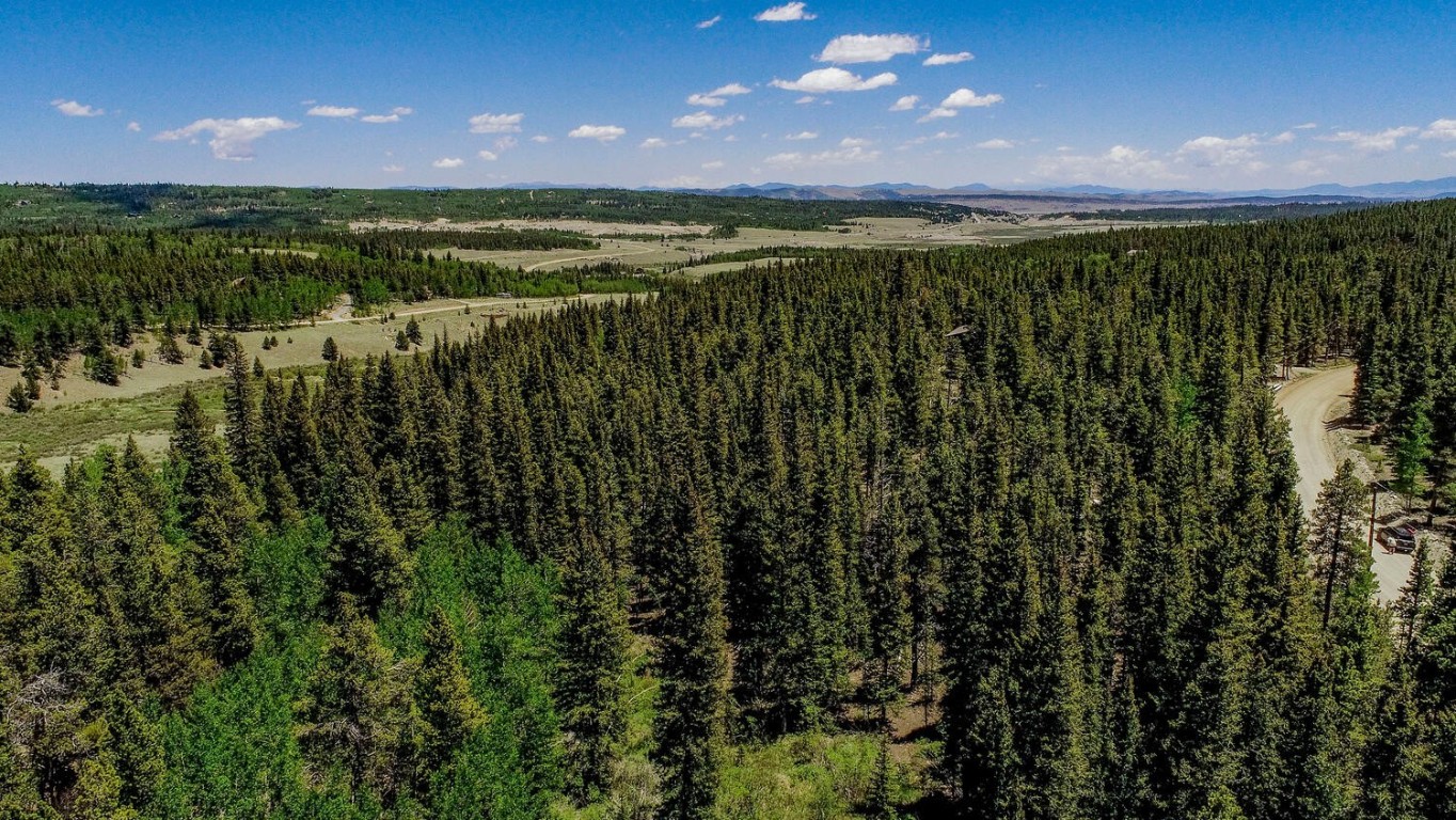 4100 Co Road 1 Fairplay CO 80440