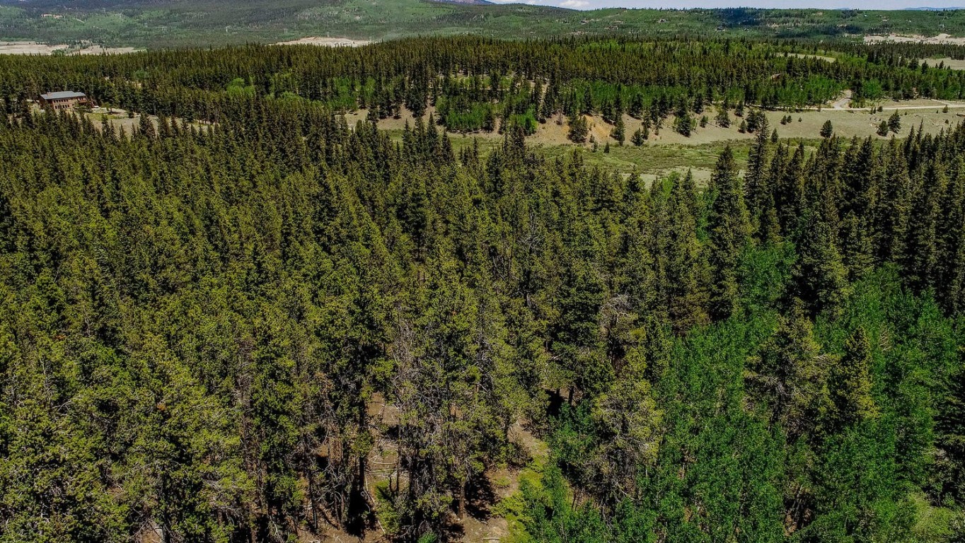 4100 Co Road 1 Fairplay CO 80440