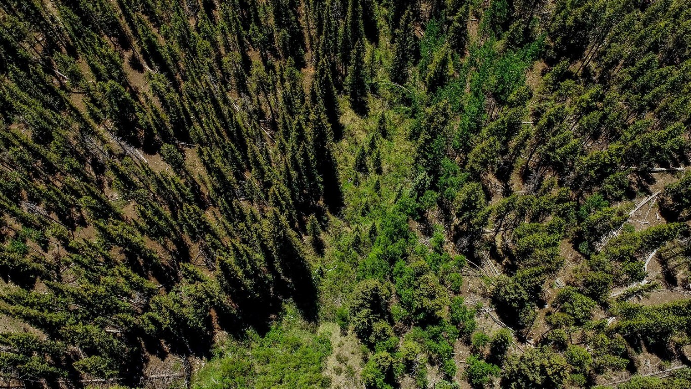 4100 Co Road 1 Fairplay CO 80440