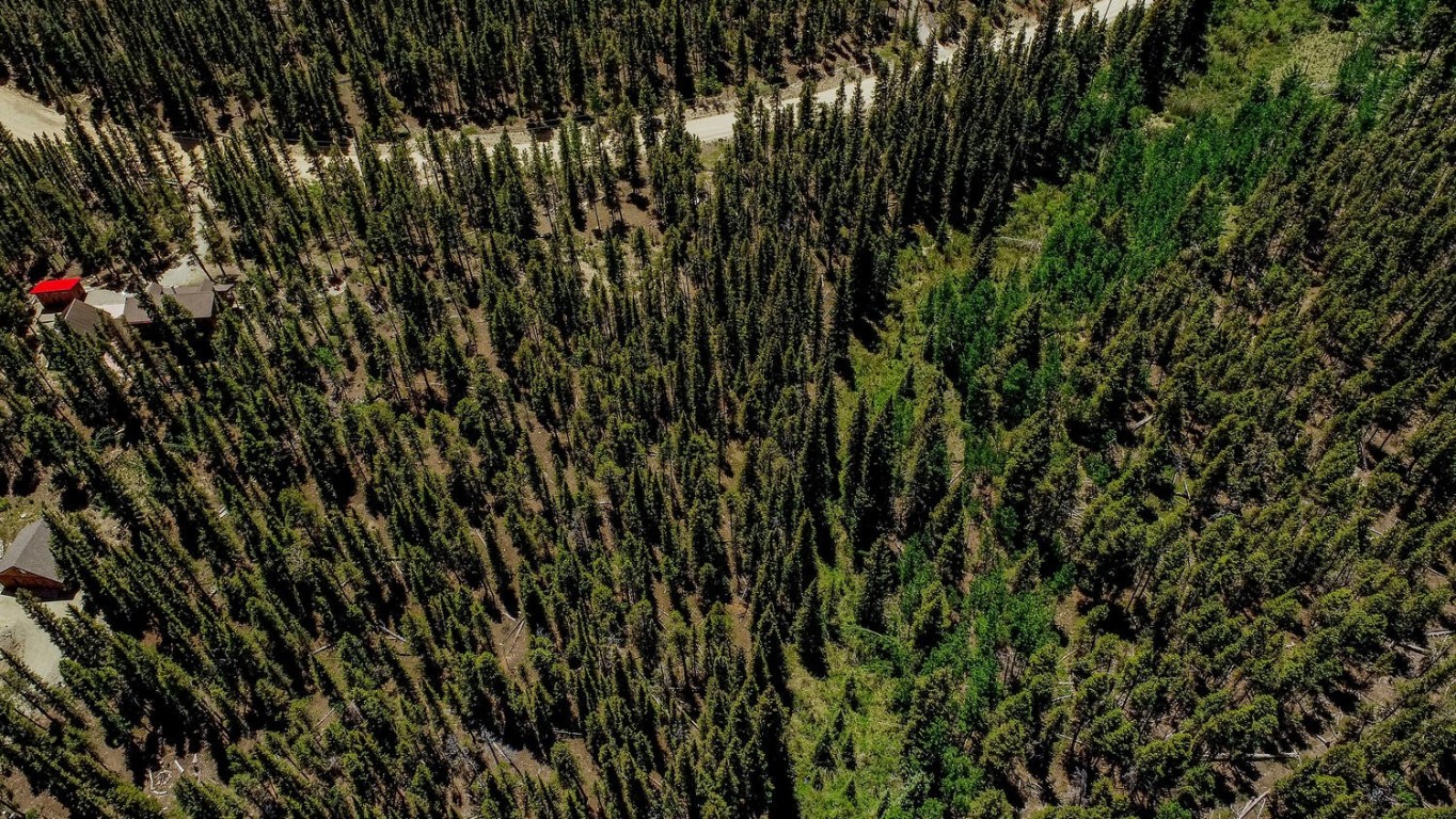 4100 Co Road 1 Fairplay CO 80440