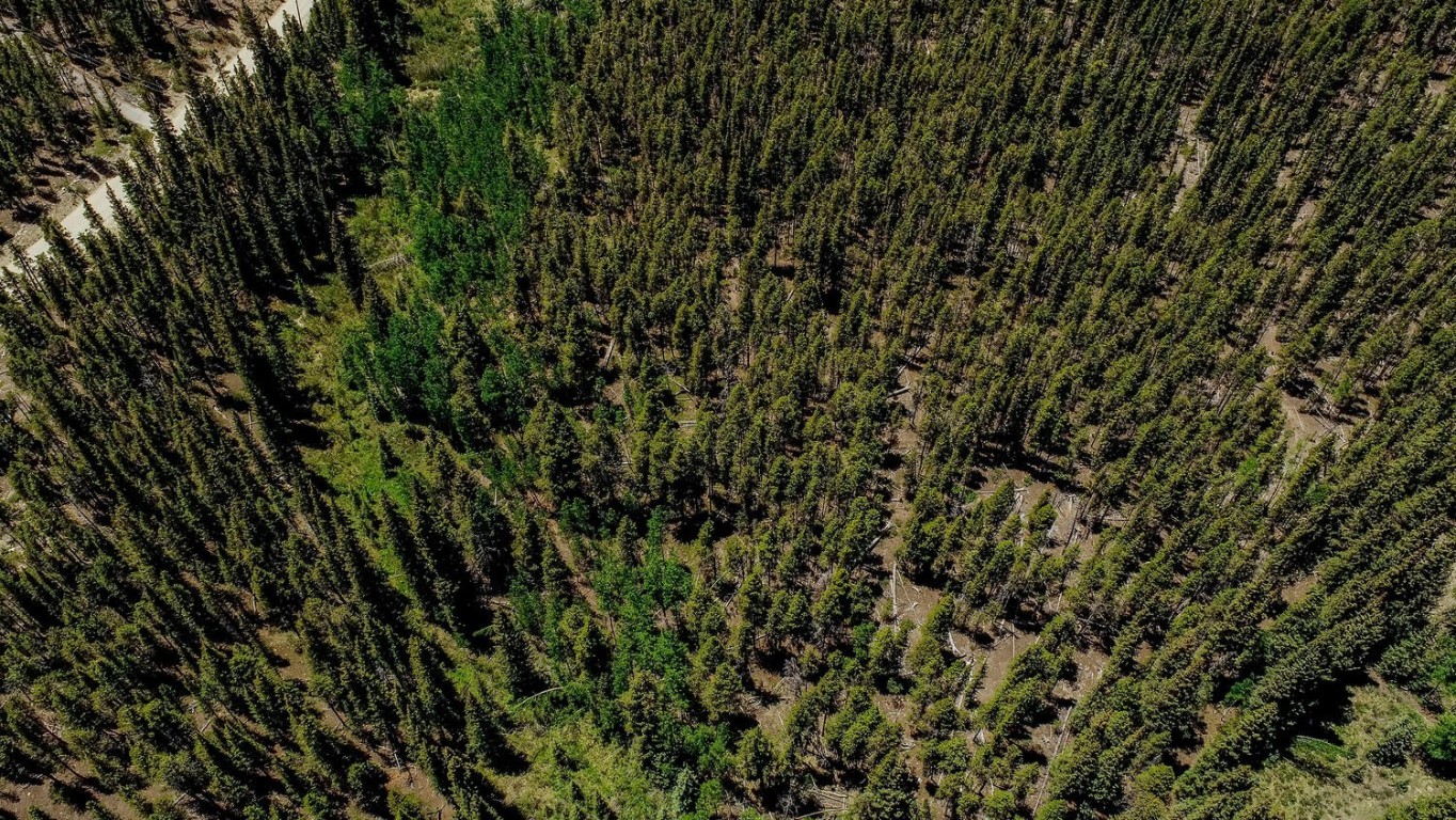 4100 Co Road 1 Fairplay CO 80440