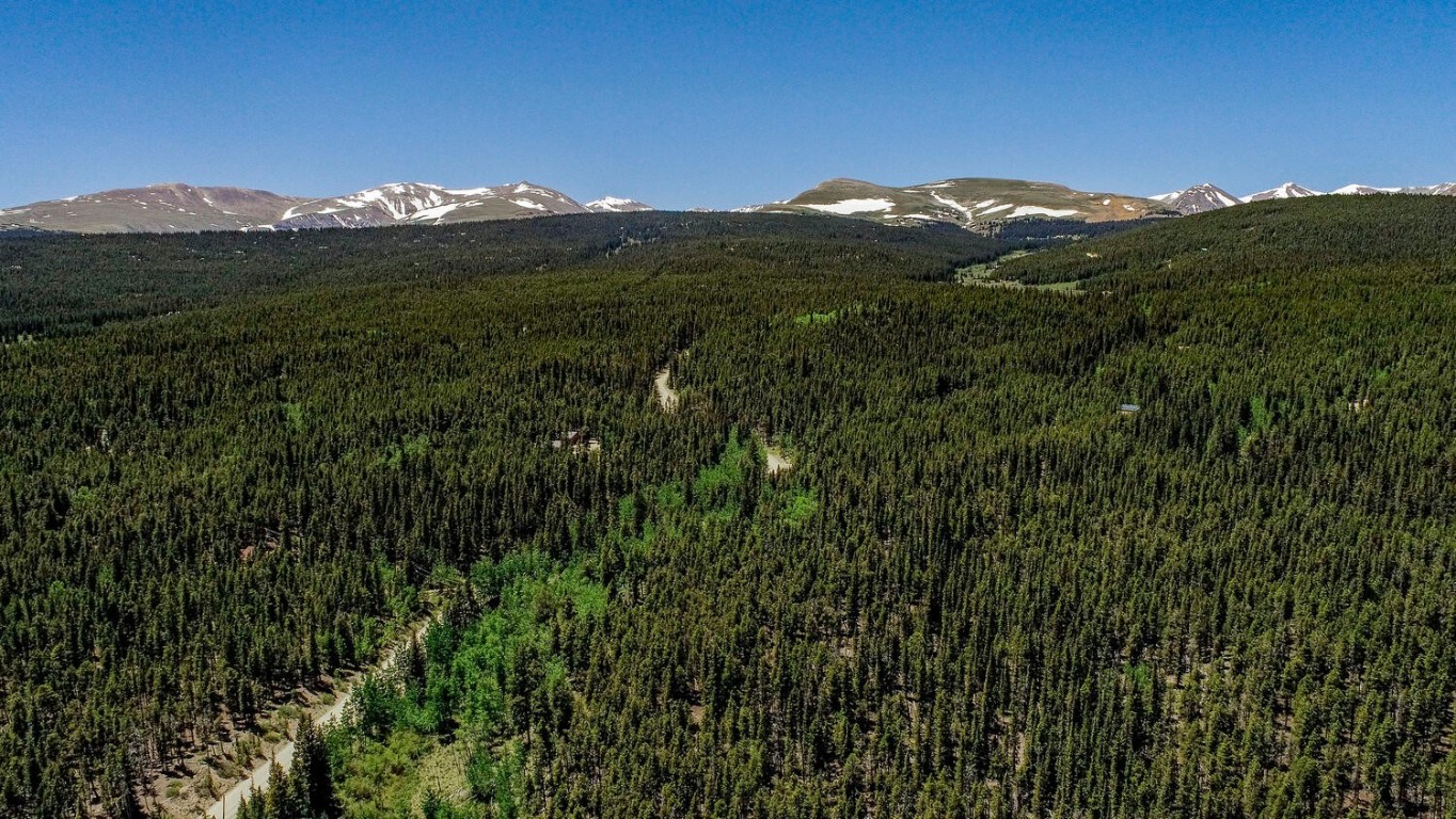 4100 Co Road 1 Fairplay CO 80440