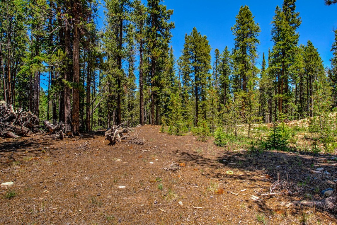 4100 Co Road 1 Fairplay CO 80440