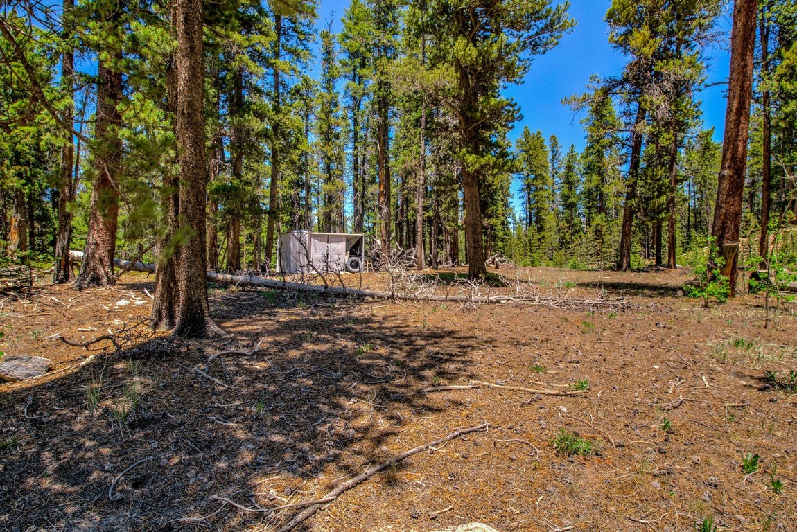 4100 Co Road 1 Fairplay CO 80440