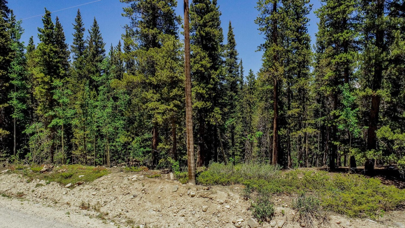 4100 Co Road 1 Fairplay CO 80440