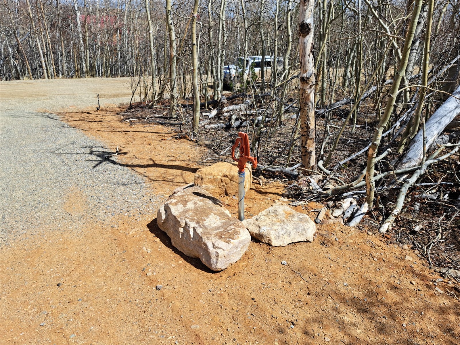2515 High Creek Road Fairplay CO 80440