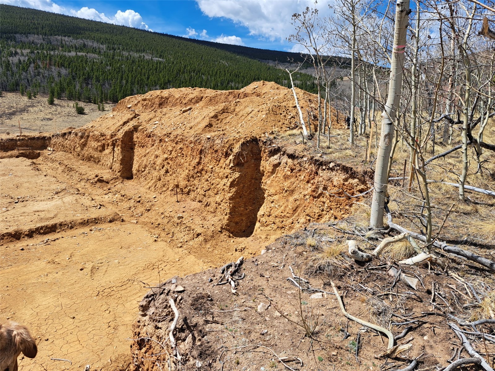 2515 High Creek Road Fairplay CO 80440