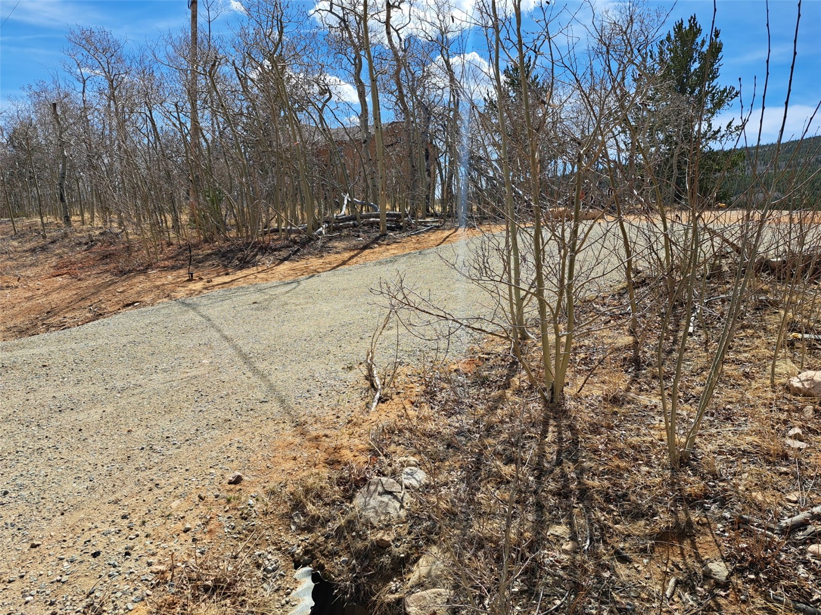 2515 High Creek Road Fairplay CO 80440