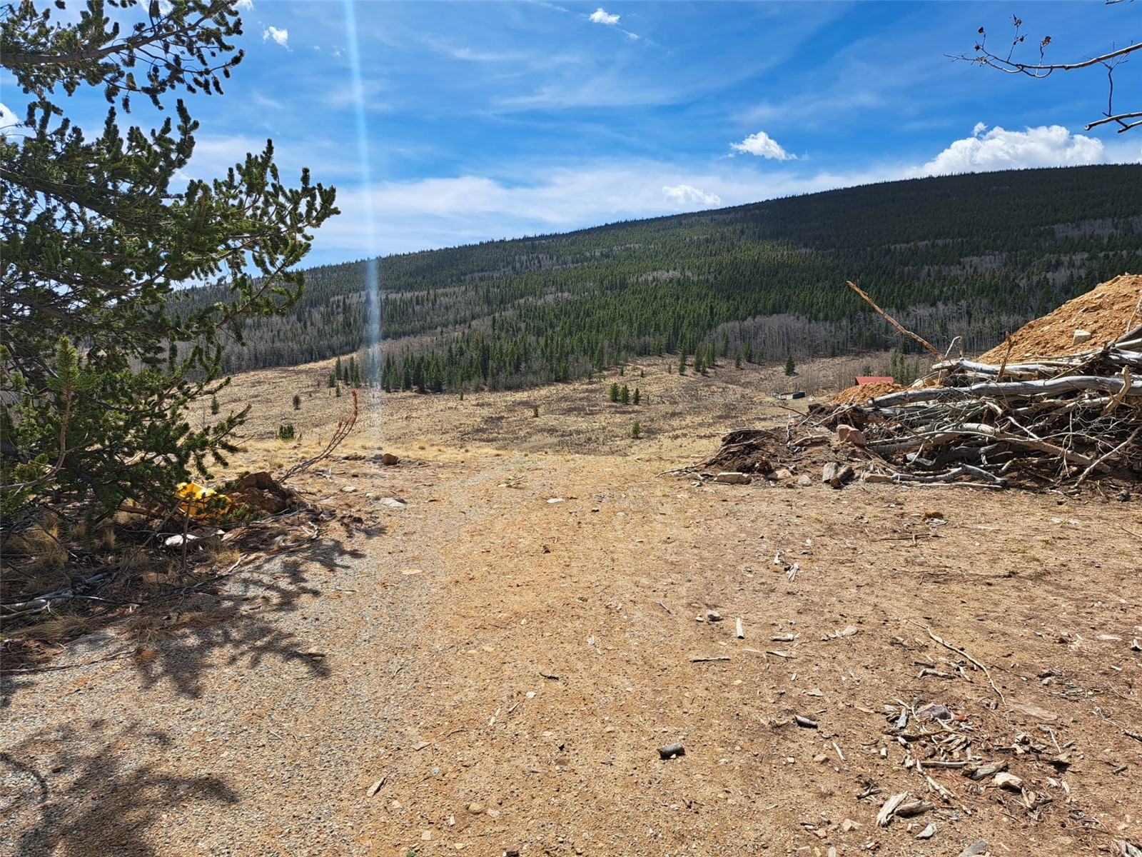 2515 High Creek Road Fairplay CO 80440