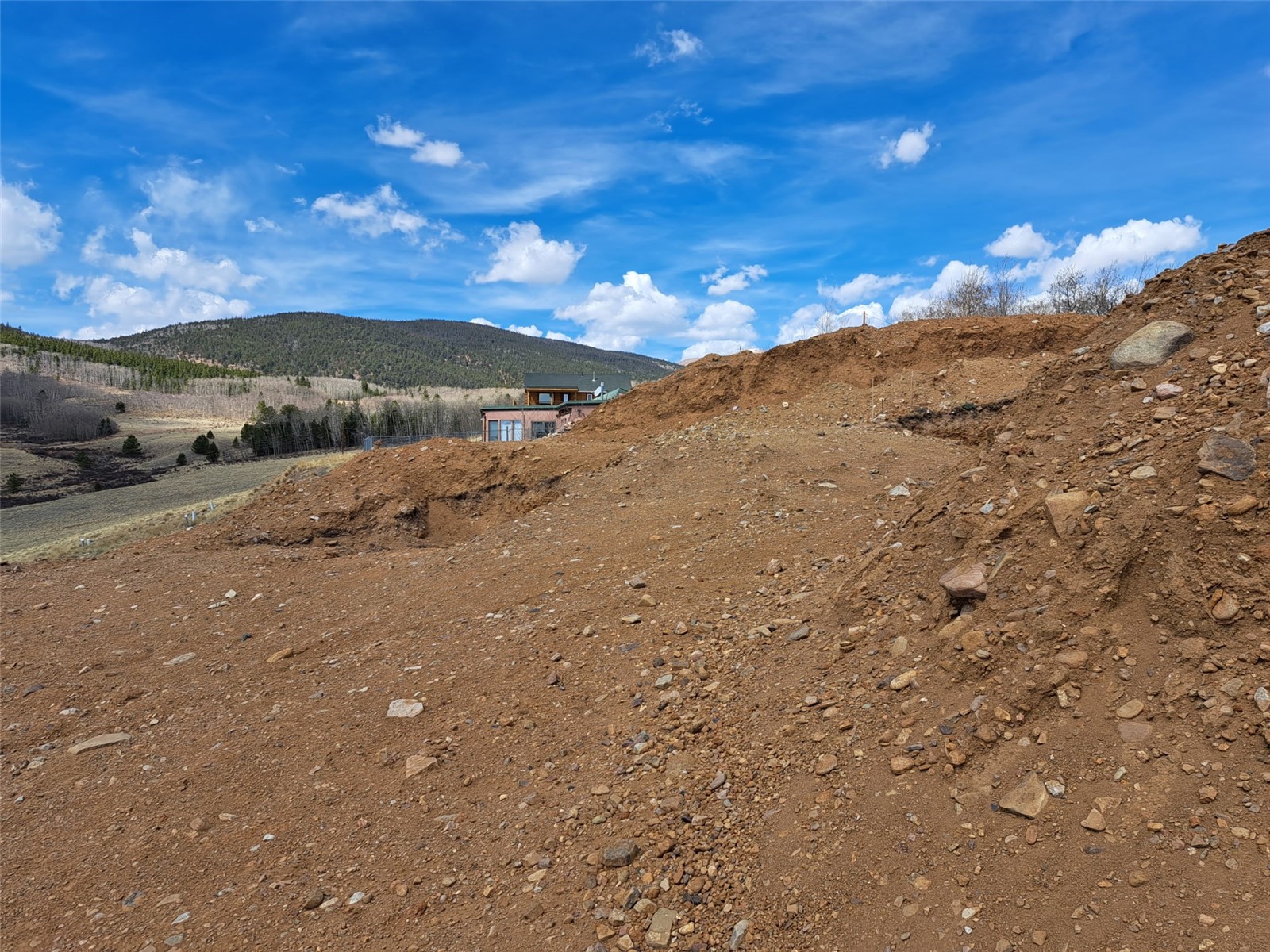 2515 High Creek Road Fairplay CO 80440