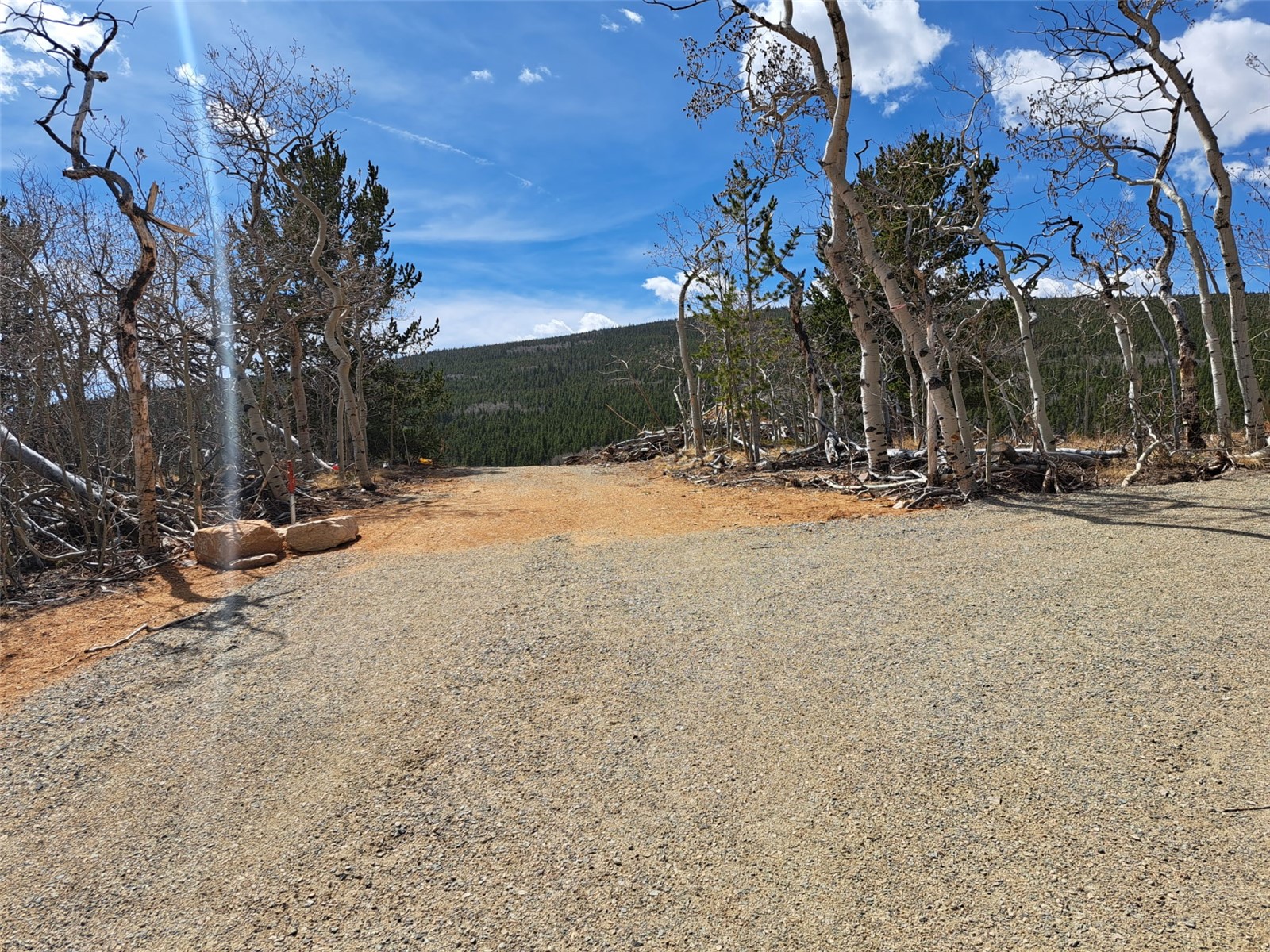 2515 High Creek Road Fairplay CO 80440