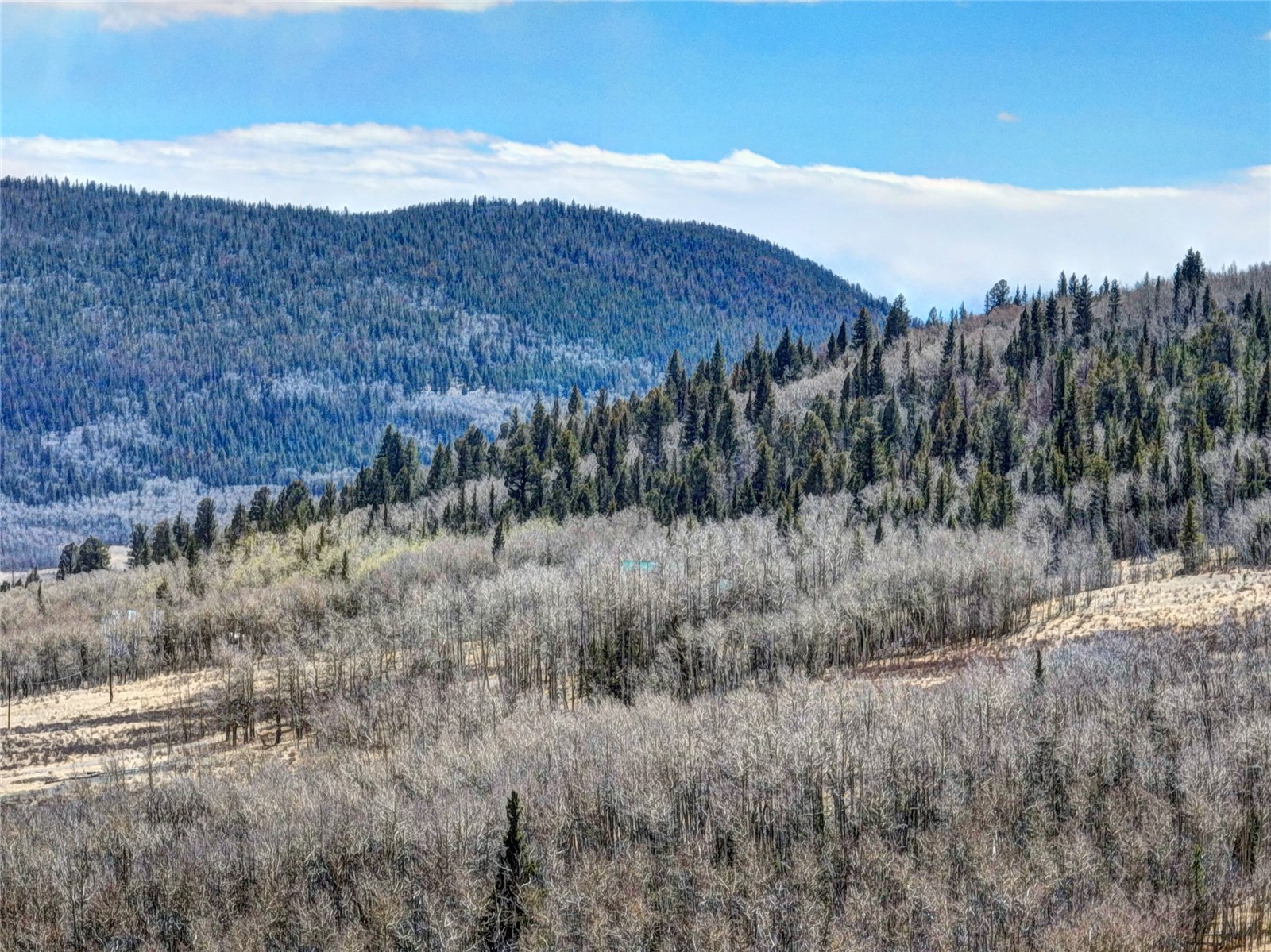 2515 High Creek Road Fairplay CO 80440