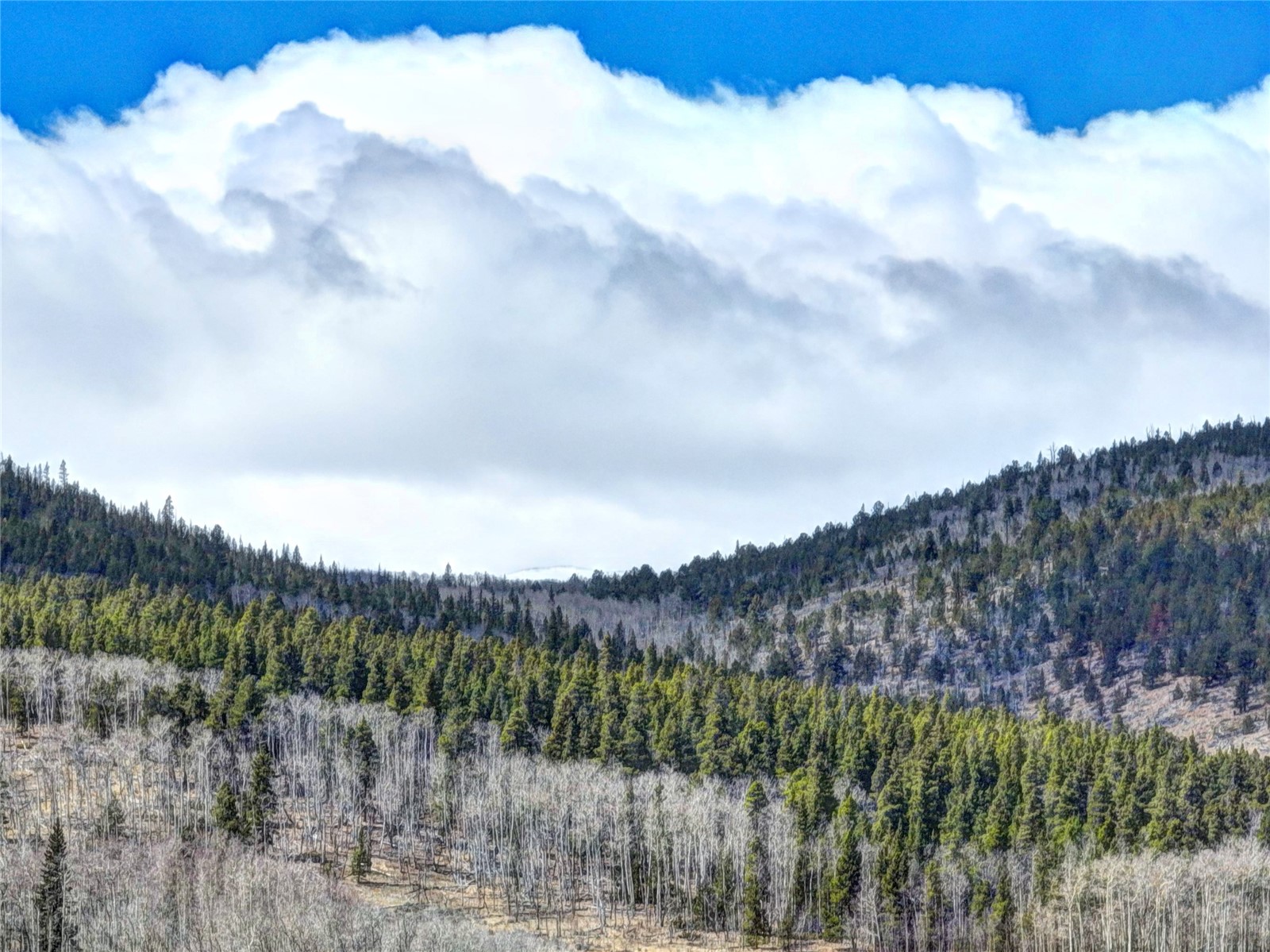 2515 High Creek Road Fairplay CO 80440