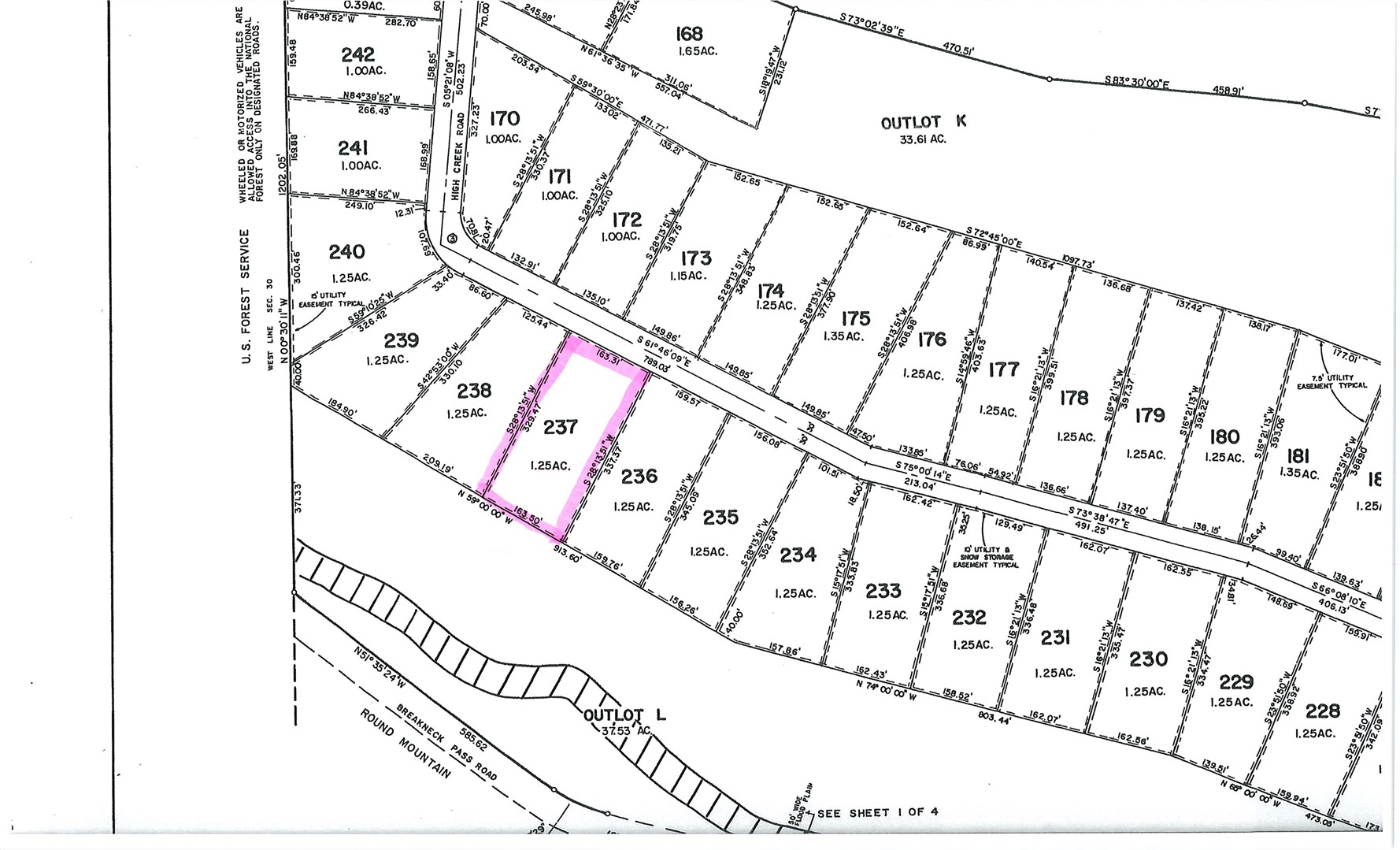 2515 High Creek Road Fairplay CO 80440