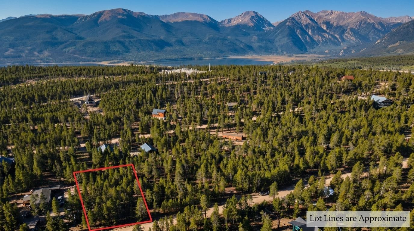 776 Birch Drive Twin Lakes CO 80461