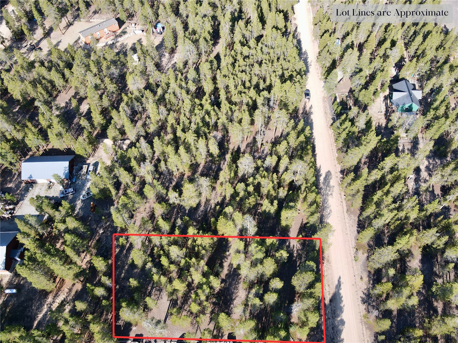776 Birch Drive Twin Lakes CO 80461